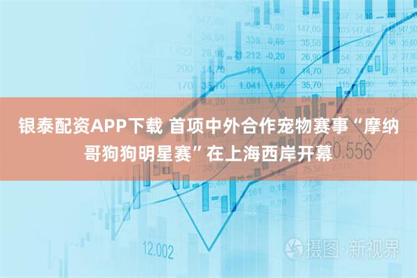 银泰配资APP下载 首项中外合作宠物赛事“摩纳哥狗狗明星赛”在上海西岸开幕