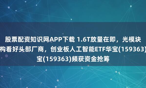 股票配资知识网APP下载 1.6T放量在即，光模块上游趋紧！机构看好头部厂商，创业板人工智能ETF华宝(159363)频获资金抢筹
