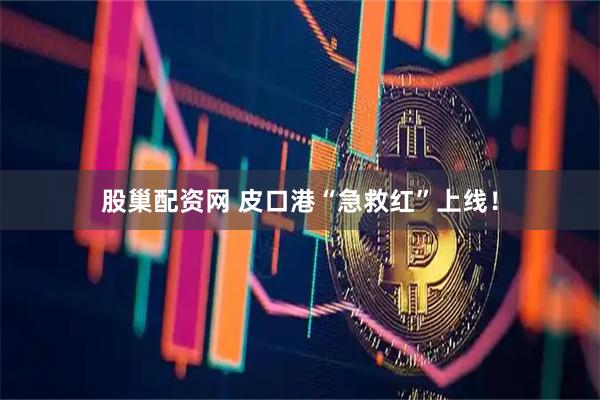 股巢配资网 皮口港“急救红”上线！